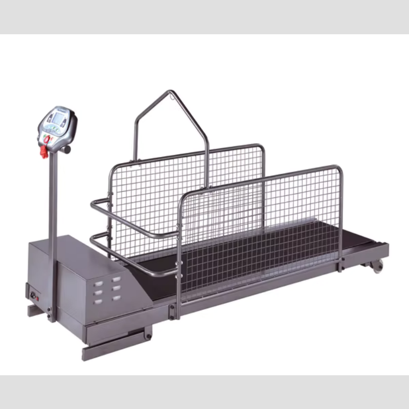 Dog Treadmill Factory - Fashionable Indoor Training