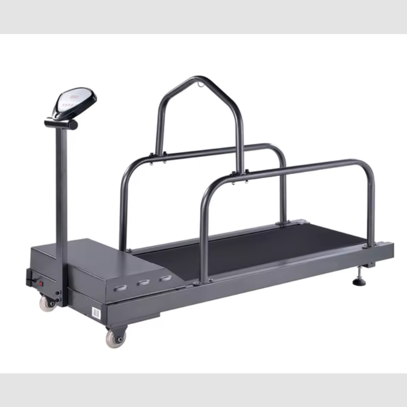Dog Treadmill Factory - Adjustable Steel Waterproof