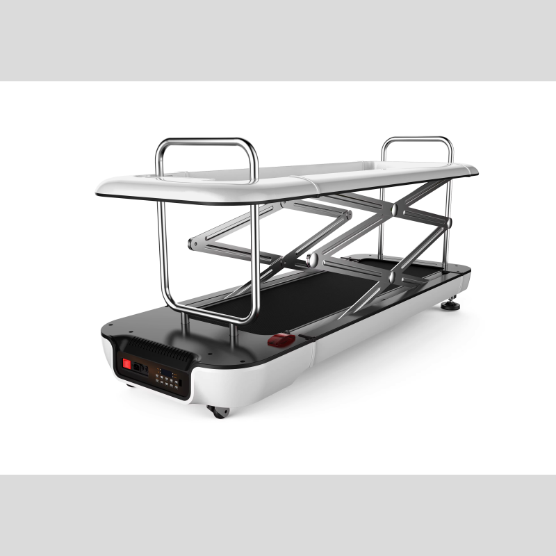 Dog Treadmill Factory - Electric Steel Walking Machine