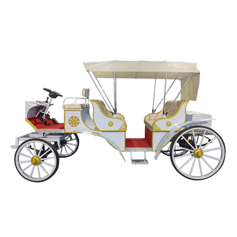 Horse Carriage Manufacturer - Royal Tourism Pony Carriage