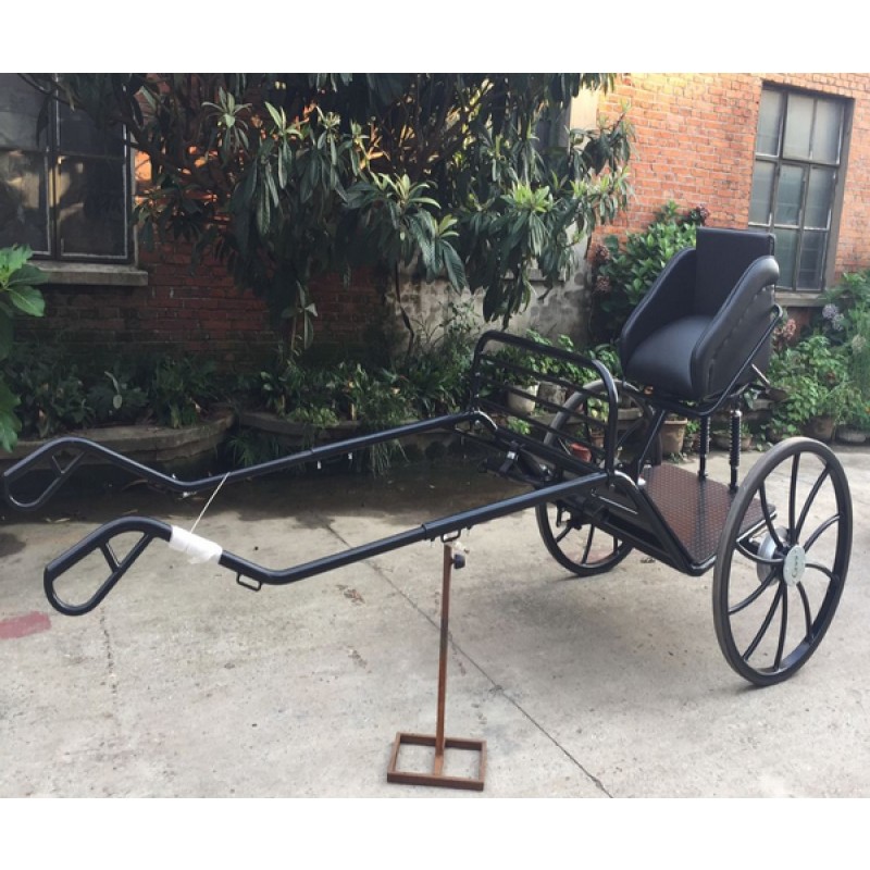 Horse Carriage Manufacturer - Sulky Cart Horse Activities