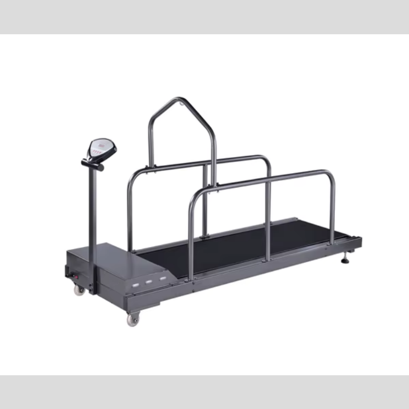 Dog Treadmill Manufacturer - Large Steel Running Machine