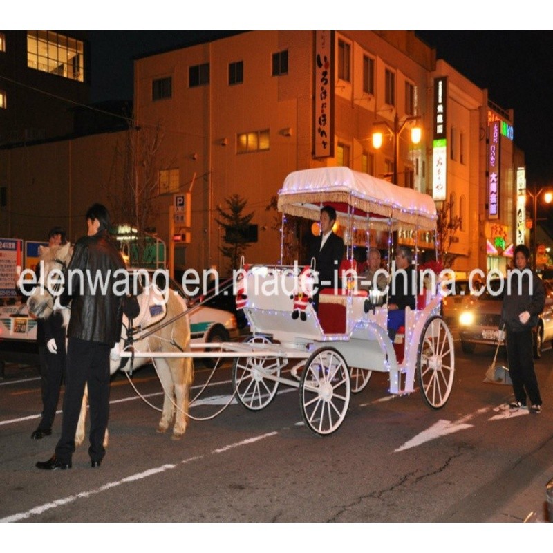 Horse Carriage Manufacturer - Cinderella Royal Harness