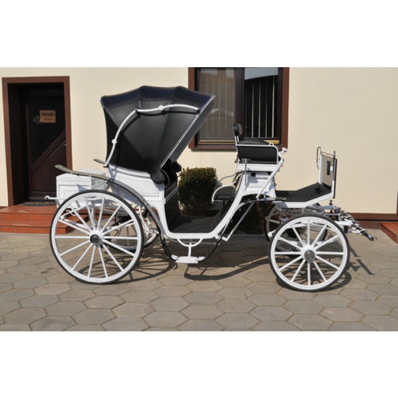 Horse Carriage Factory - Outdoor Royal Horse Drawn