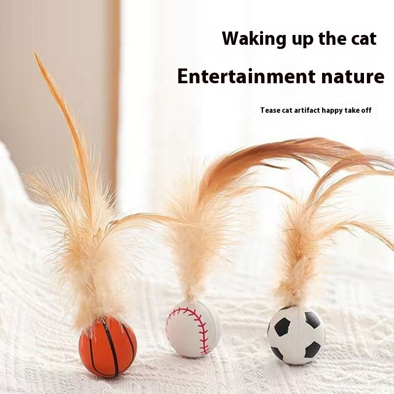 Pet Collar Manufacturer - Eco Friendly Western Style