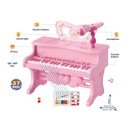 Karaoke Microphone Manufacturer - Portable Colorful Lights