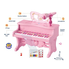 Karaoke Microphone Manufacturer - Portable Colorful Lights