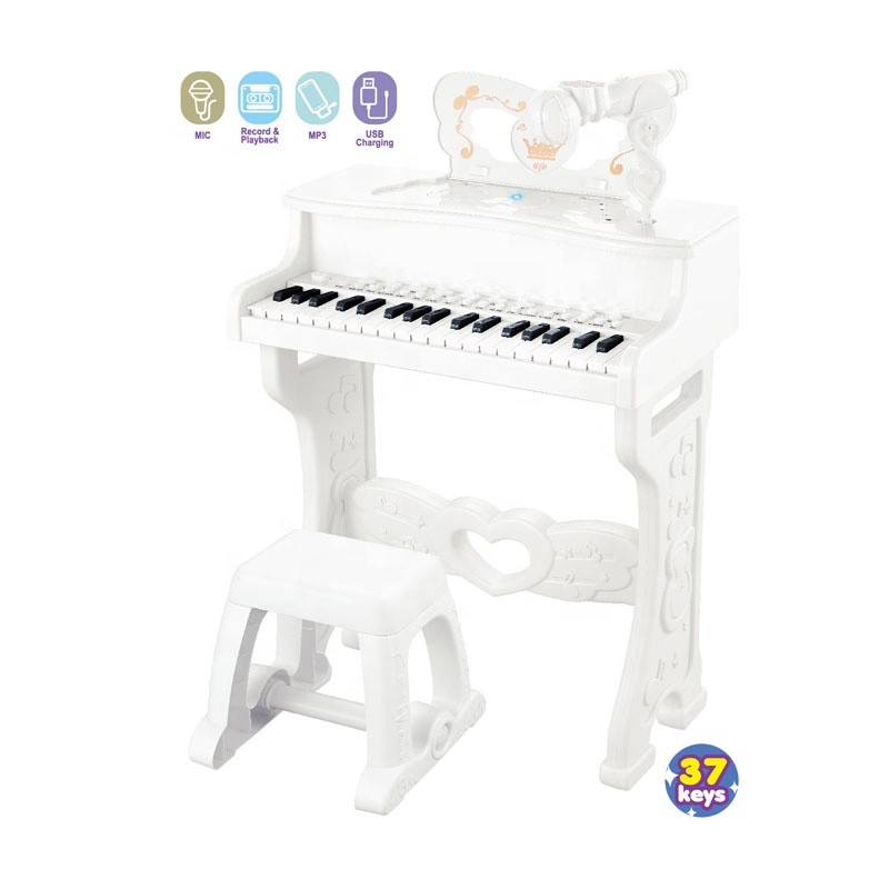 Karaoke Microphone Manufacturer - Portable Colorful Lights