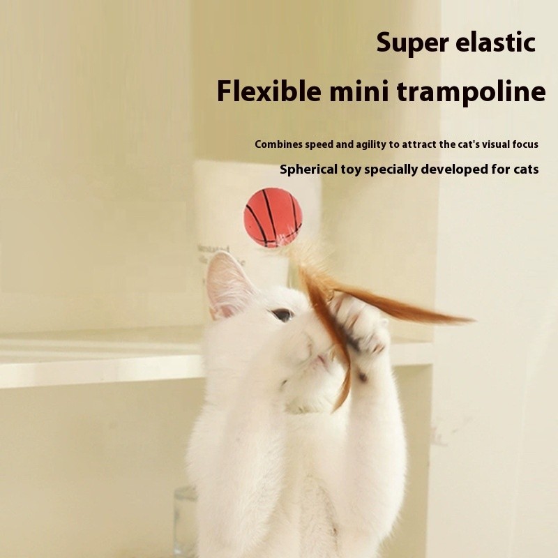 Pet Toy Manufacturer - Eco Friendly Chicken Feather Balls