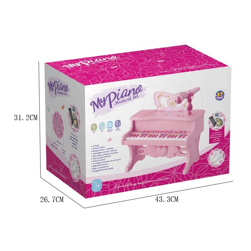 Karaoke Microphone Manufacturer - Portable Colorful Lights