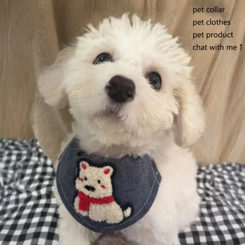 Pet Collar Factory - Personalized Polyester Drool Towel