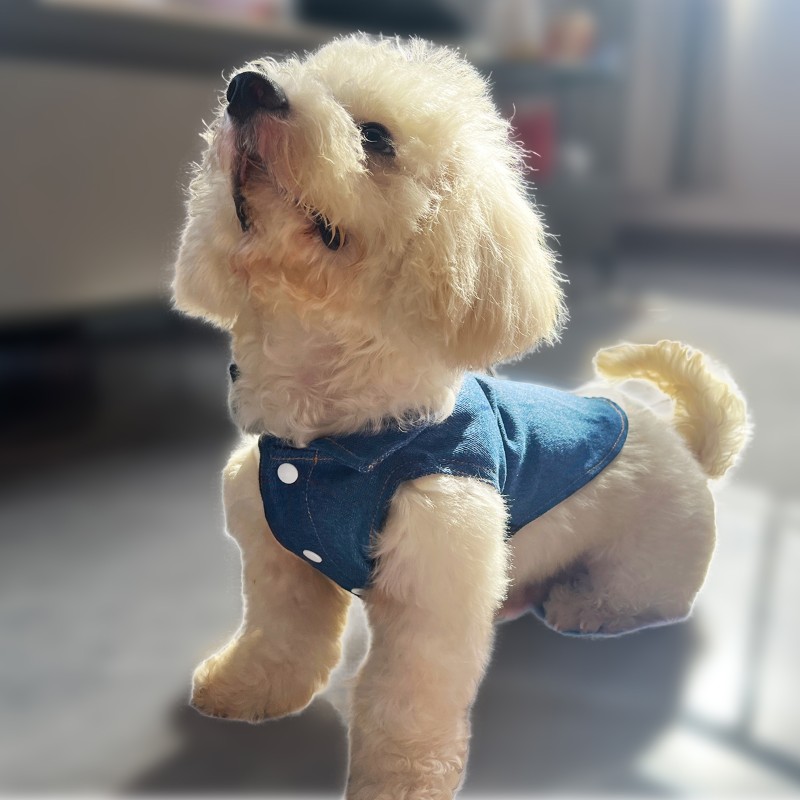 Dog Harness Manufacturer - Denim Vest Breathable Jacket