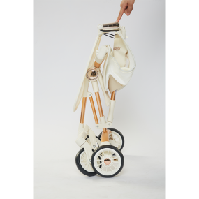 Baby Wagon Factory - Custom Trend 2-in-1 OEM With Canopy