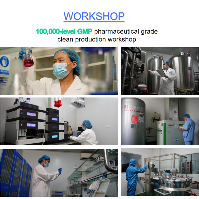 Gold Standard Most Popular Oil Drops Natural Food Supplement DHA Algal Oil Drops Liquid Omega-3 DHA for Kids