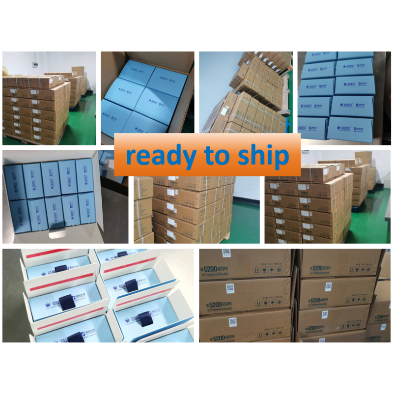 OEM Natural Weight Loss L-carnitine, Corn Silk, White Kidney Beans, Probiotics Freeze-dried Powder for Women Slimming Supplement