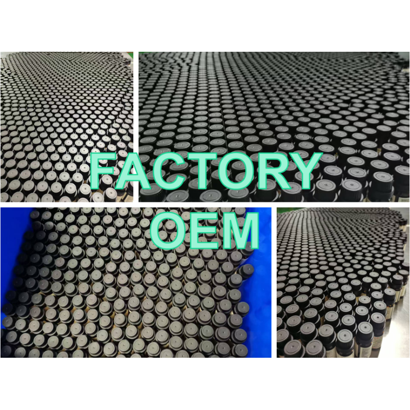 Factory Supply Nature Made Improve Immunity Memory and Sleep Private Label Fish Oil Liquid Drop