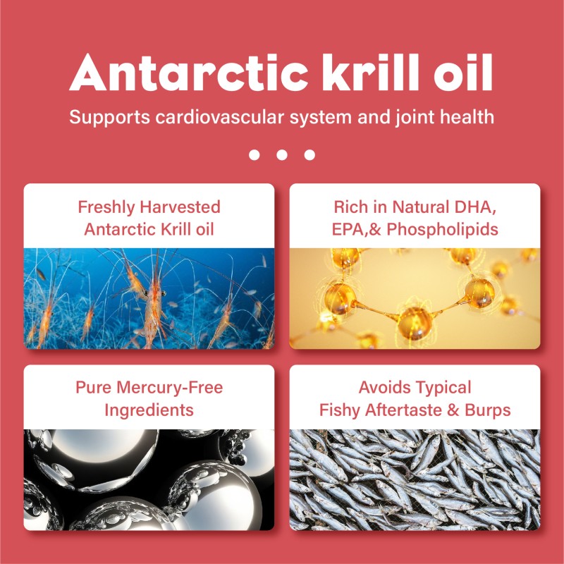 OEM Private Label Antarctic Krill Oil Drops with Astaxanthin Omega-3 EPA DHA Pure Premium Krill Oil Heavy Metal Tested Non GMO