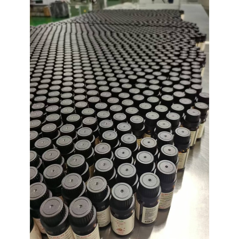 Wholesale High Quality OEM Oral Liquid Probiotic Drops Improve Lactose Intolerance Liquid Probiotic Oil Drops