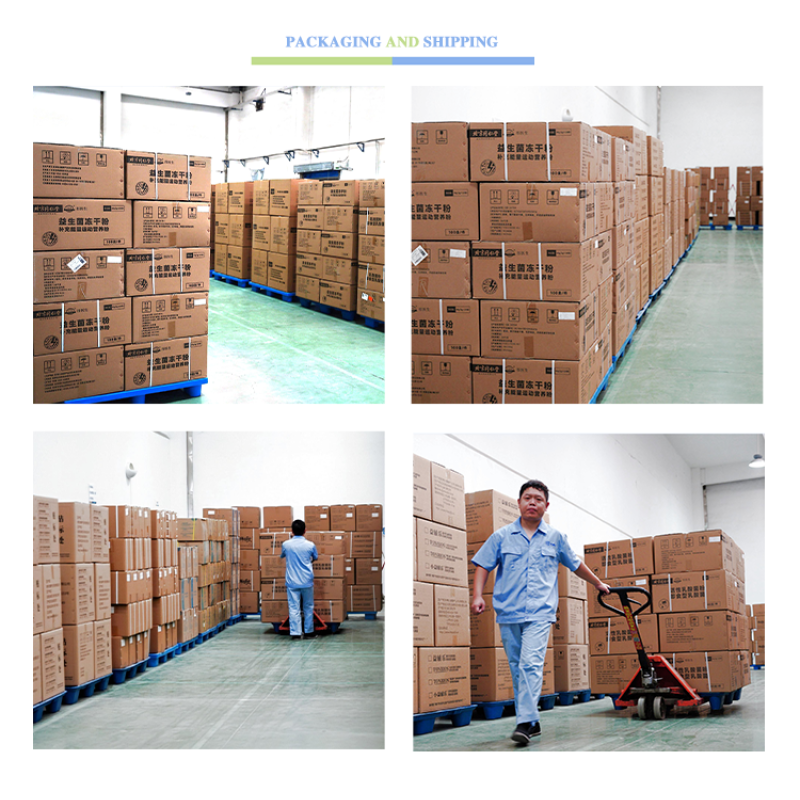 Wholesale Optimum Nutrition Whey Protein Isolate Powder Gym Supplement Lean Muscle Mass Whey Mass Gainer Powder