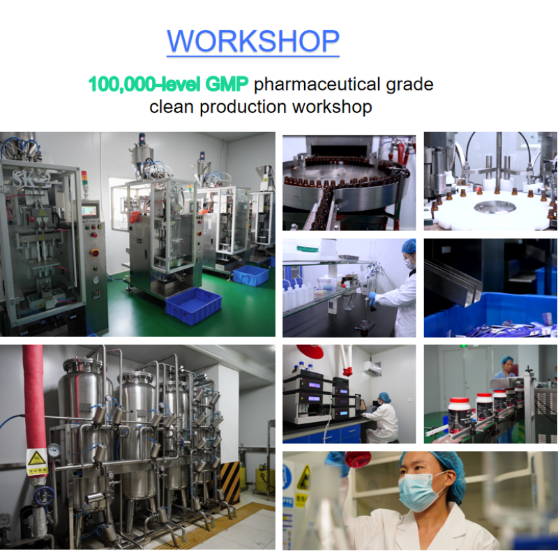 Custom Private Label Healthcare Supplement OEM 10/15/30 ml Liquid Probiotic Drops for Men and Women Resolving Dampness