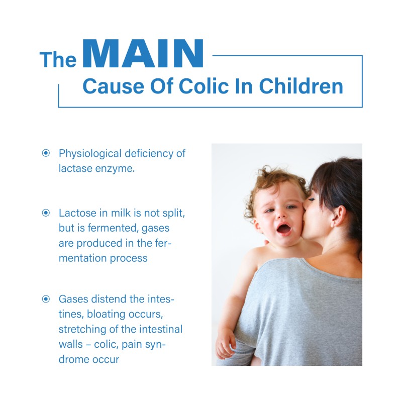 OEM Milkaid Lactase Enzyme Drops 14ml 20000ALU Per Milliliter Lactase Digestive Enzymes Oil Drops