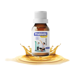 Professional Custom Bone Strengthen and Calcium Absorption Support Probiotic Liquid Drops for Kids