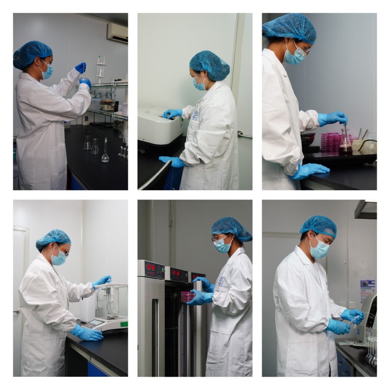 OEM Wholesale Price Natual DHA Algae Oil Drops for Brain Eye Boost Supplements Memory and Sleep Support