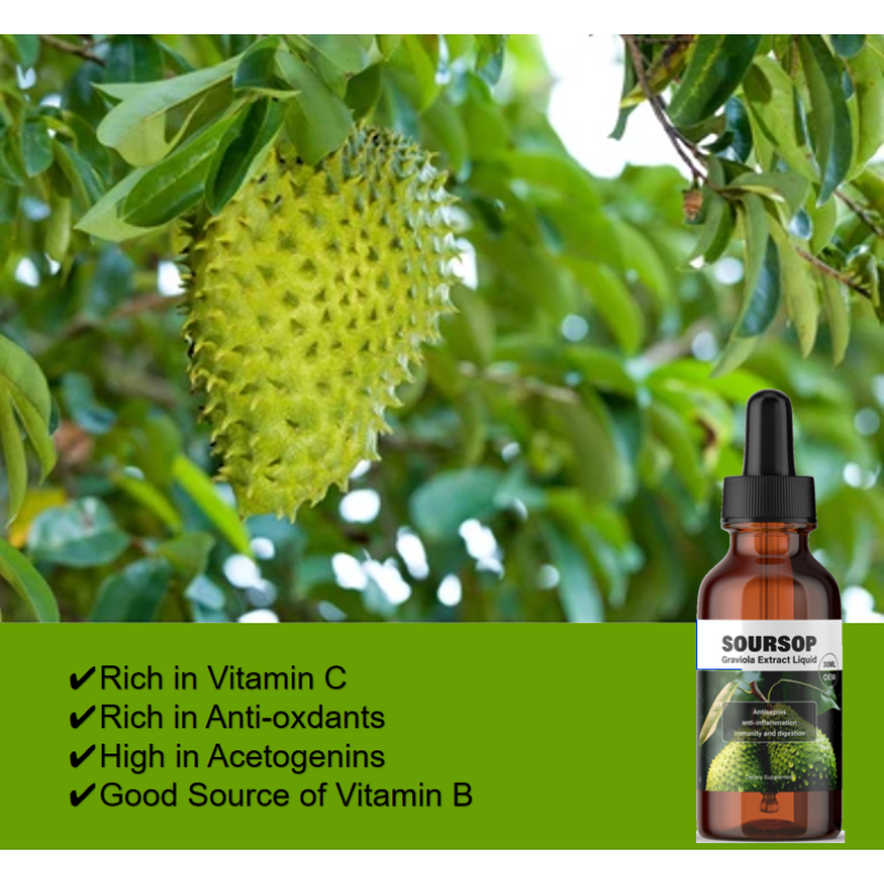 Custom Soursop Fruit and Leaf Supplement Soursop Graviola Leaf Extract Liquid Drop for Cell Support Regeneration
