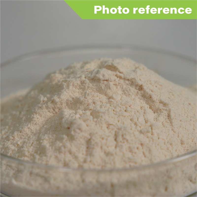 Manufacturers Wholesale Price Muscle Tech Whey Protein Powder Sports Supplements for Weight Gain Private Label