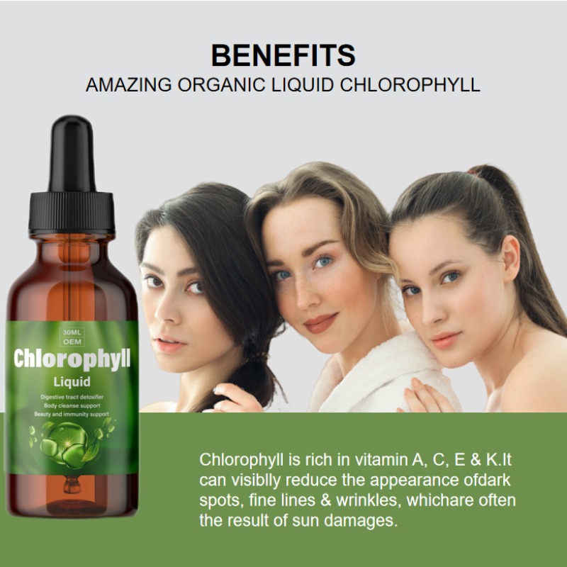 OEM/ODM Private Label 4X Potency Concentration Organic Drops Liquid Chlorophyll for Detox Cleanse Body