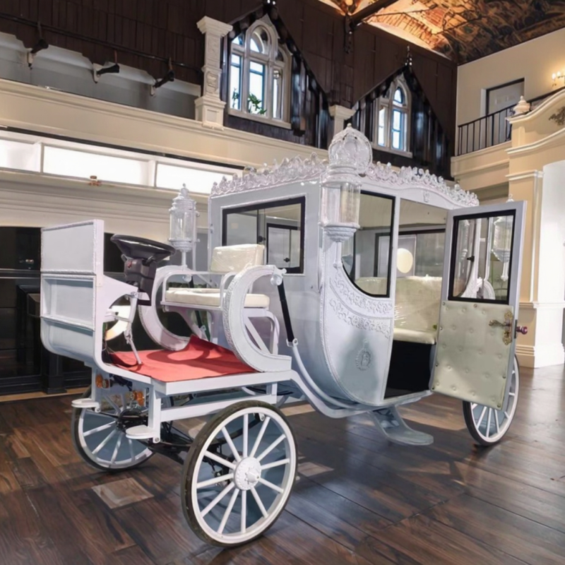 Tourist Cart Manufacturer - Luxury Electric Horse Drawn