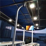 BE-S09 Luxury Pedal pub truck