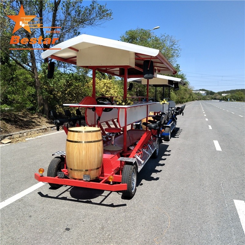 Electric Bike Manufacturer - 15 Seater Cargo Luggage