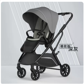 Baby Stroller Manufacturer - 2-in-1 Lying Sitting Two Way Push