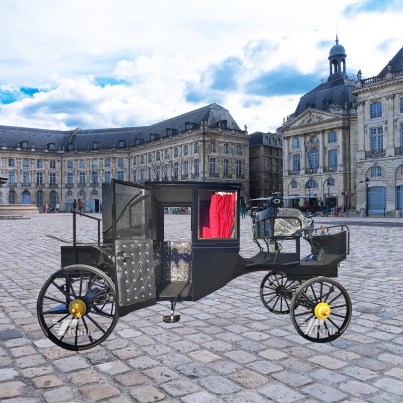 Electric Buggy Manufacturer - American Favorite Black Sightseeing Outdoor