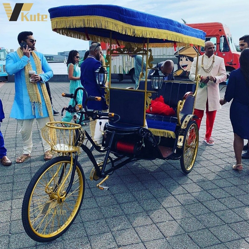 Electric Rickshaw Manufacturer - Rear Passenger 500W Motor Tricycle