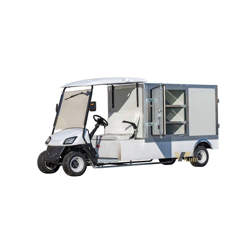 Electric Patrol Car Manufacturer - Hot Selling Customized Mall 6-Seater