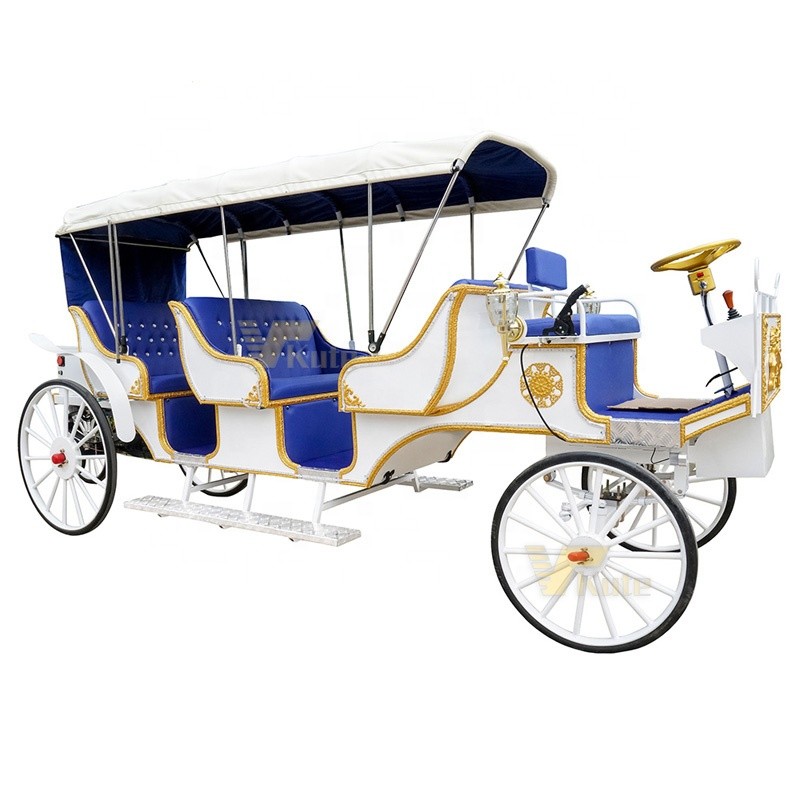 Electric Sightseeing Carriage Manufacturer - Blue Three Row Family Photo Amusement