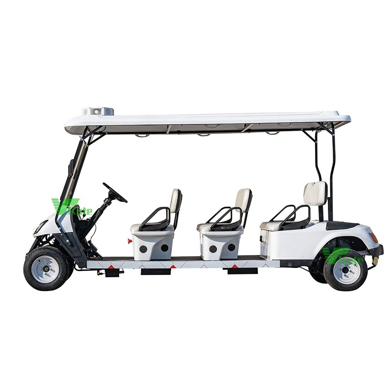 Electric Golf Cart Manufacturer - 2024 New Model 2 Seater Large Storage