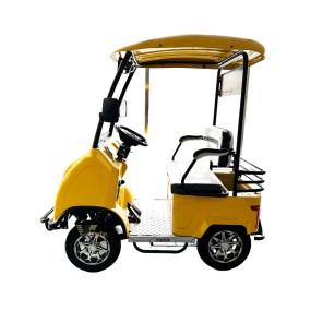 Electric Mini Golf Cart Manufacturer - High Quality 4 Seater Club Car