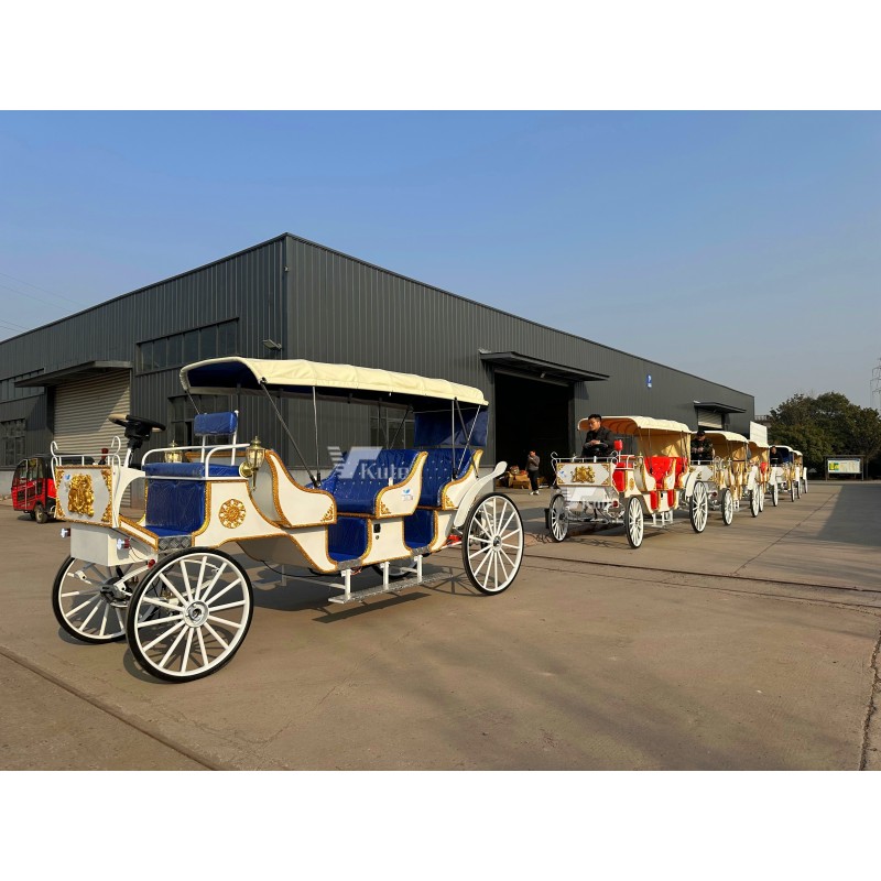 Wedding Carriage Factory - New Style Victoria Horse Drawn Wagon