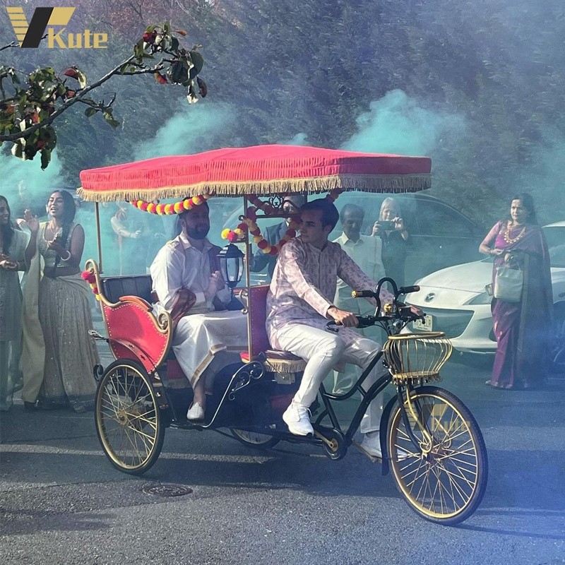 Electric Pedicab Factory - 2024 5 Seater Pedicab Rickshaw