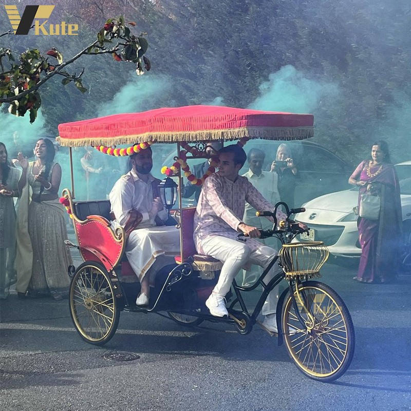 Three Wheeler Auto Factory - Open Body 800W Motor with Pedal Assistant