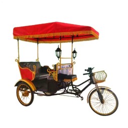 Tuk Tuk Rickshaw Factory - Hot Sale Vintage 3 Wheels Taxi with Roof