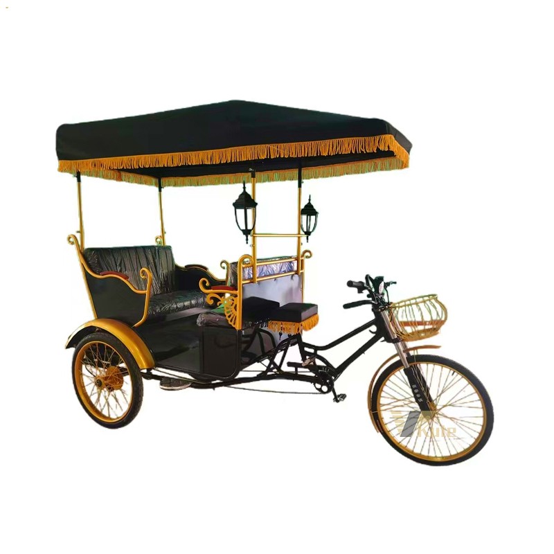 Transport Vehicle Factory - 2 Seats Pedicab New Model Rickshaw