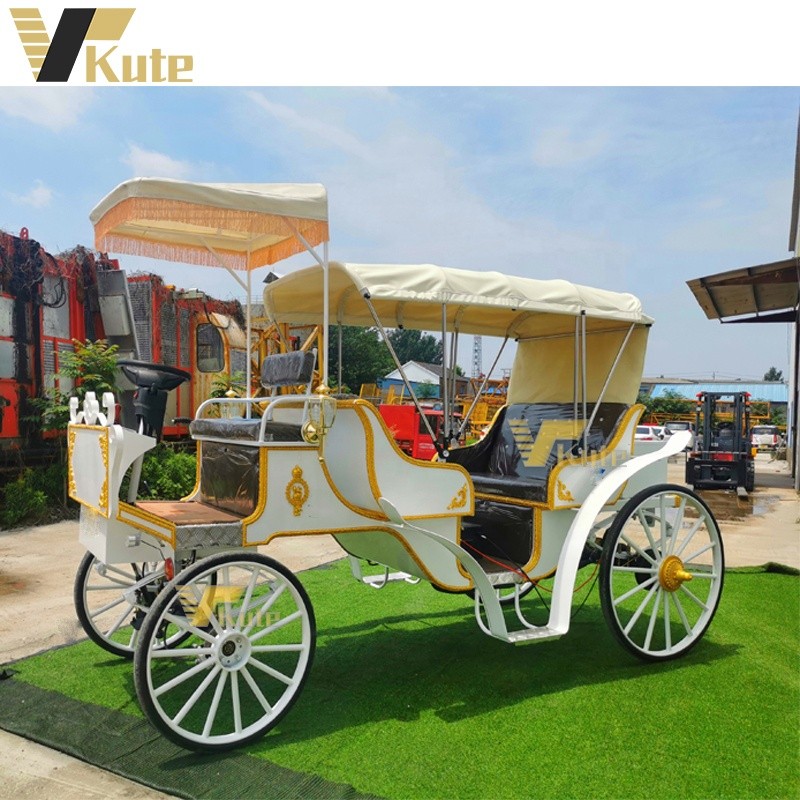 Sightseeing Horse Cart Factory - Hot Sale Electric Tourist with Awning