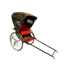 Electric EV Vehicle Manufacturer - Custom Solar Lithium Lead Acid