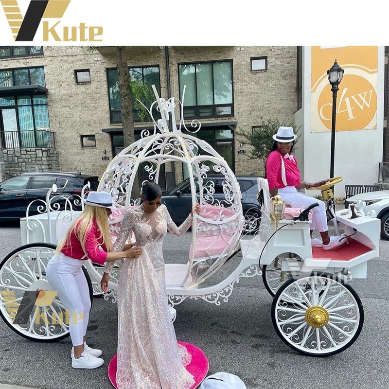 Princess Wedding Carriage Manufacturer - Cinderella Pumpkin Horse Drawn Royal
