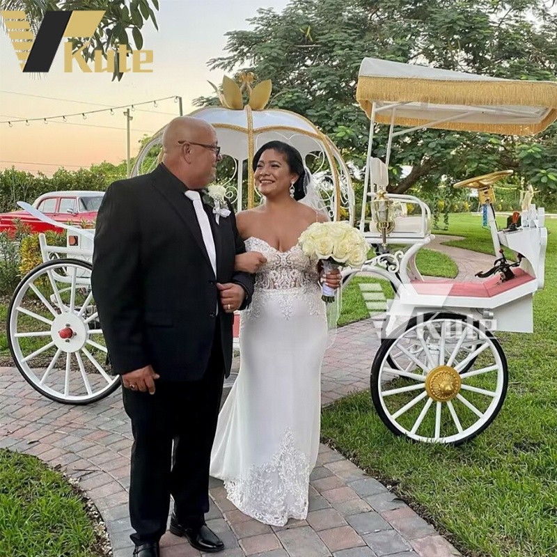 Electric Carriage Manufacturer - Hot Selling Horseless Wedding Sightseeing