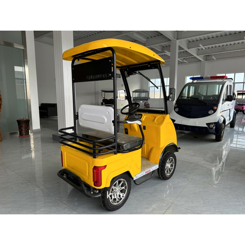 Electric Mini Golf Cart Manufacturer - High Quality 4 Seater Club Car